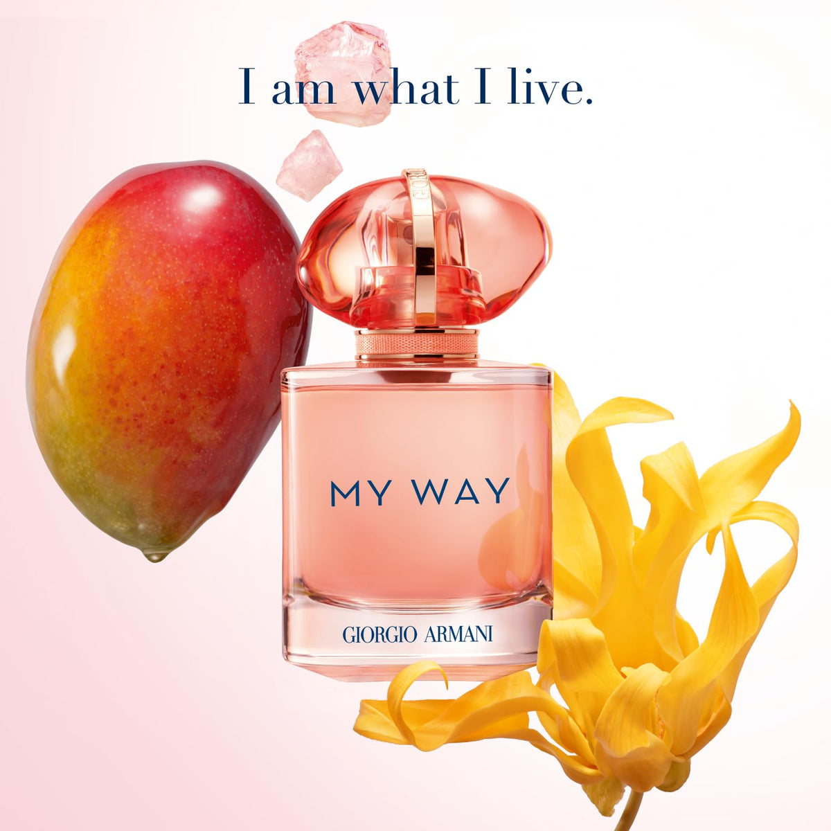 Ylang & Vanilla Floral Eau de Parfum for Women – Mango, Coconut & Vanilla Notes