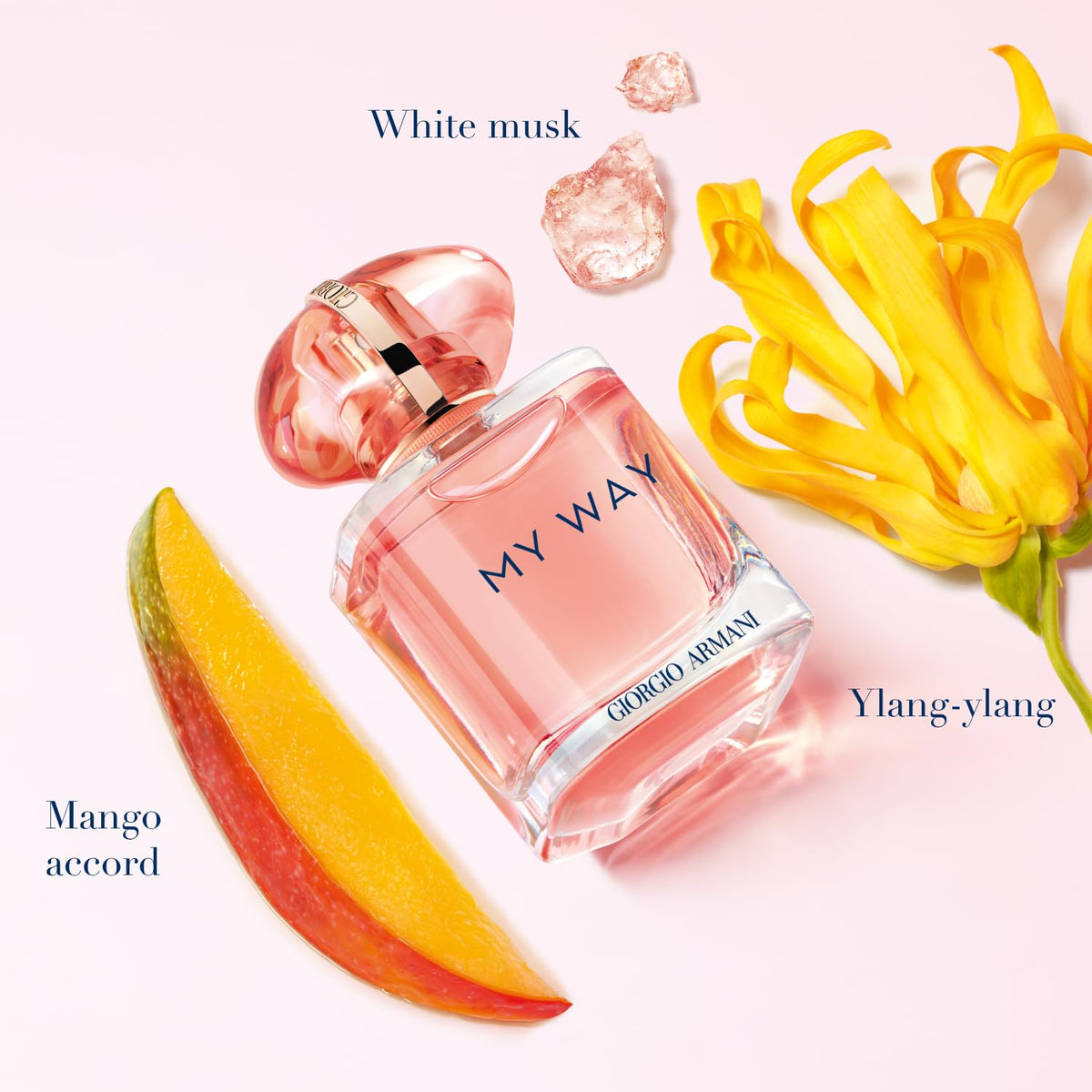 Ylang & Vanilla Floral Eau de Parfum for Women – Mango, Coconut & Vanilla Notes