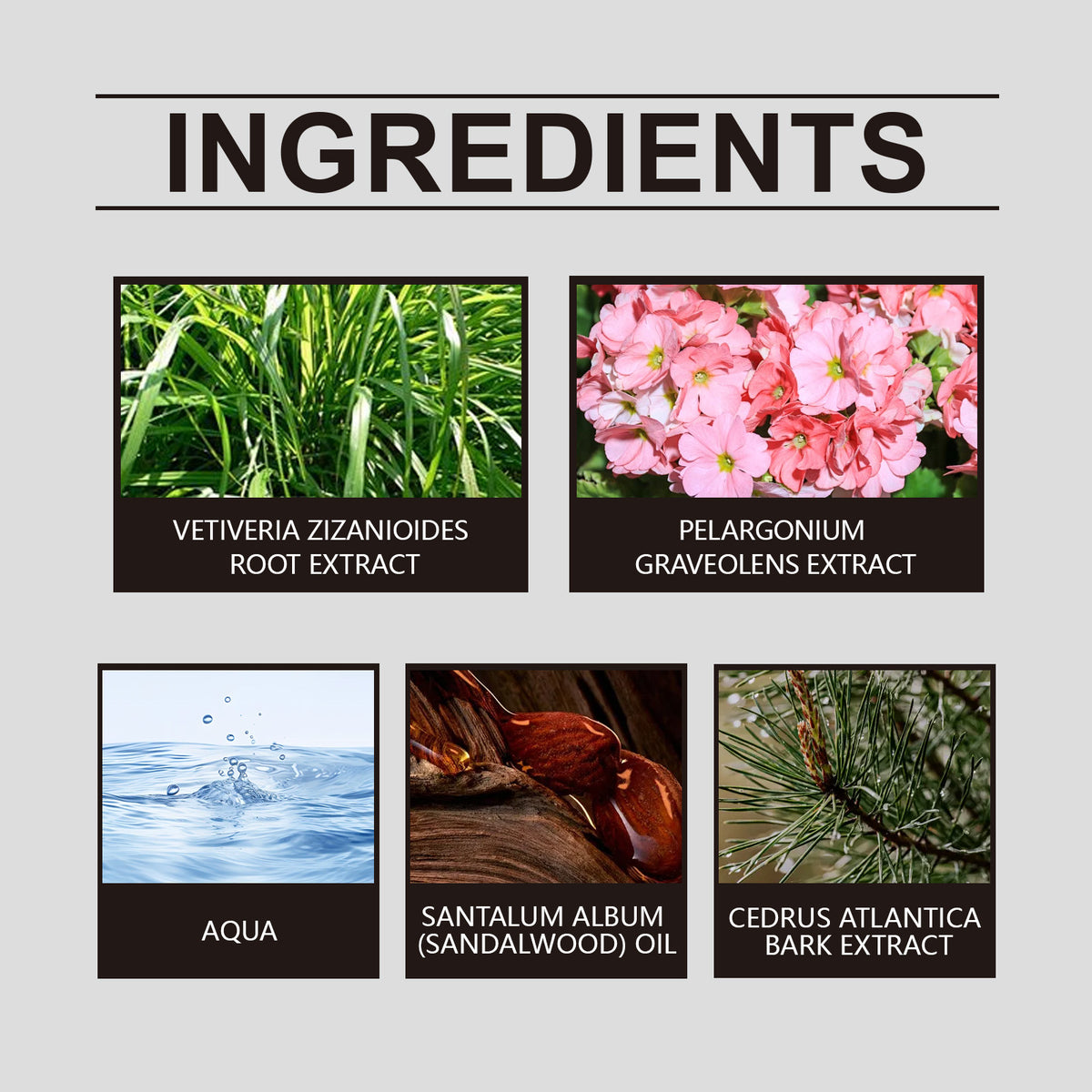 Geranium Inspired Niche Perfume – Elegant Floral & Sandalwood Fragrance