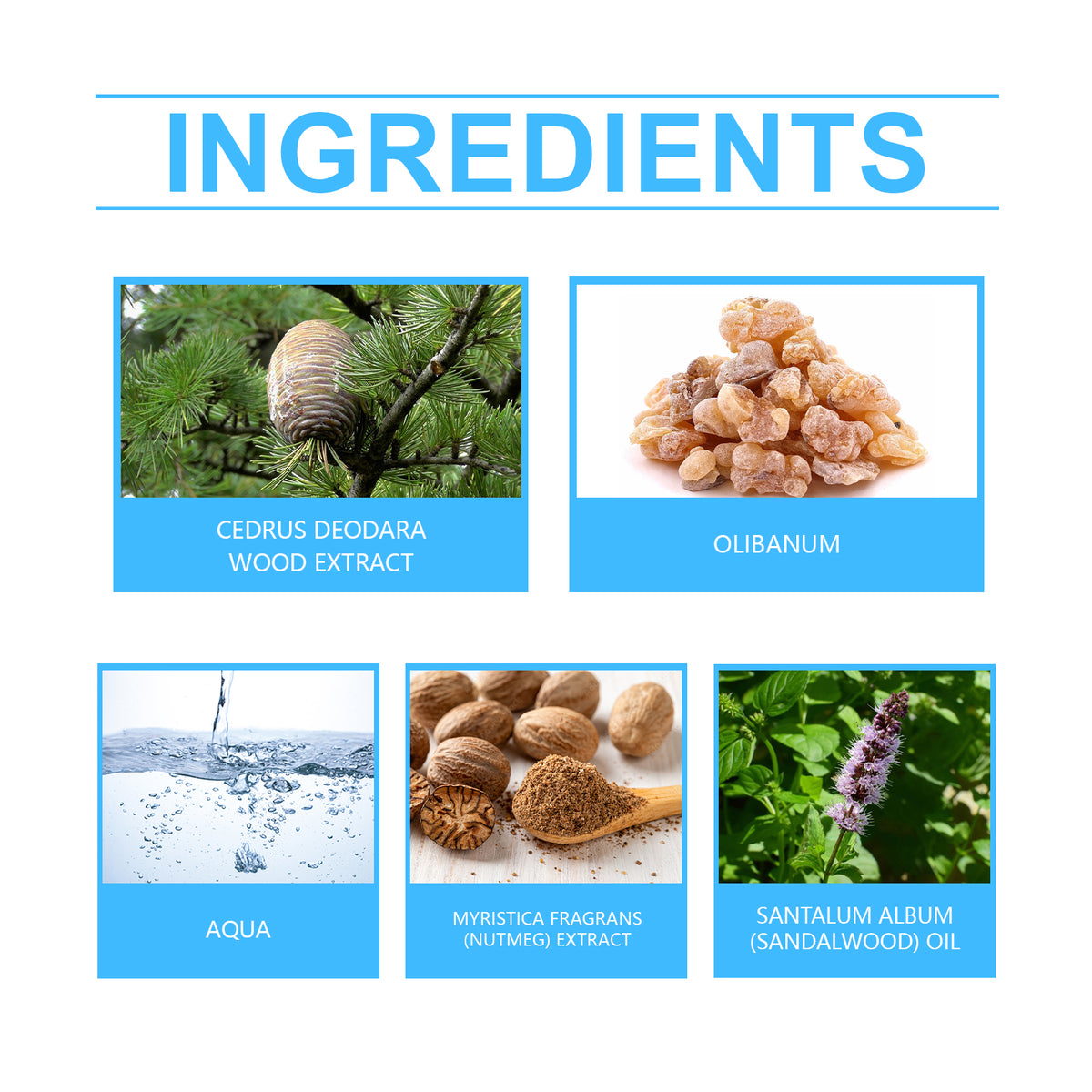 Roxelis Cedar Arabian Fragrance – Mild Frankincense & Nutmeg Cologne